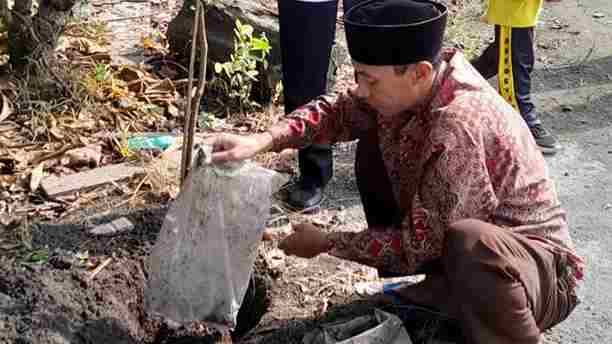 Penanaman 100 Pohon di Lingkungan Sekolah